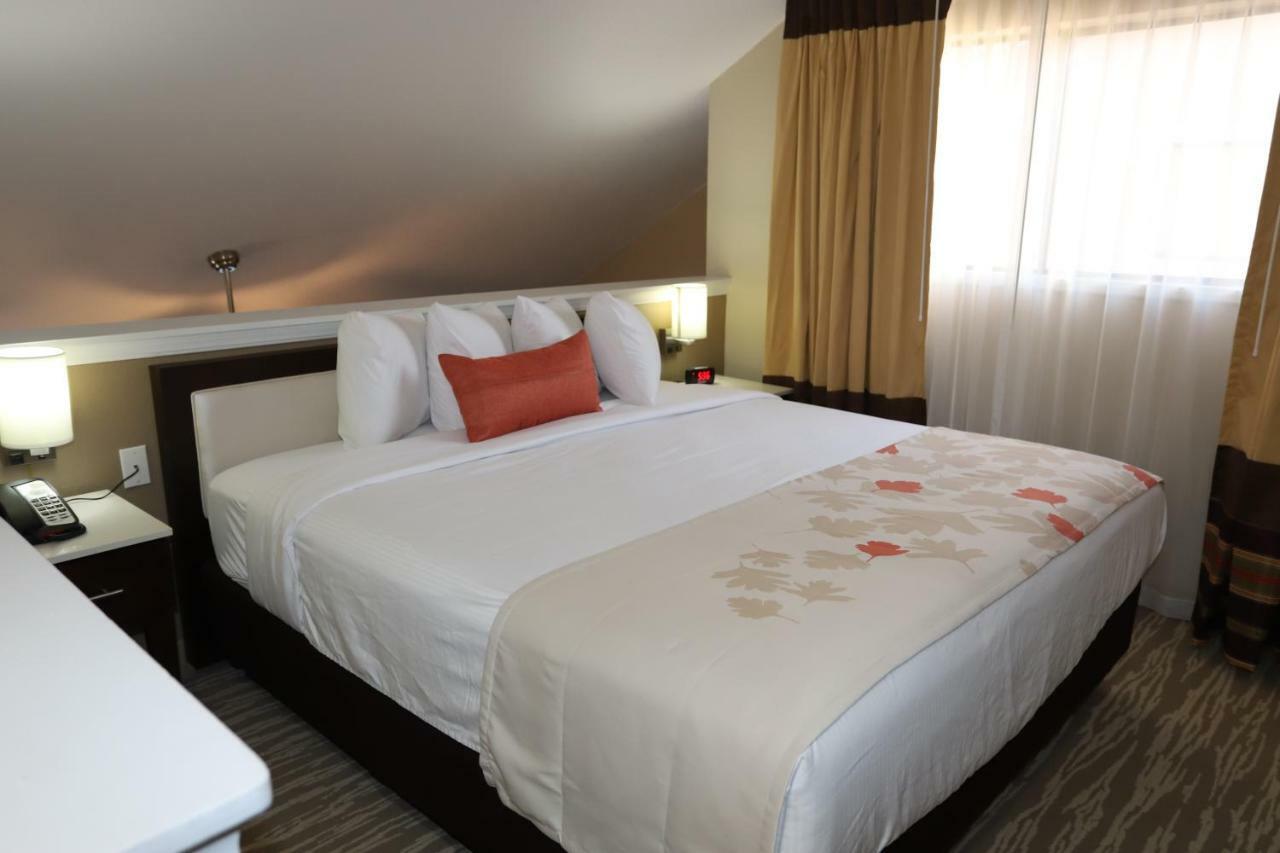 Hawthorn Suites By Wyndham Detroit Southfield Eksteriør bilde